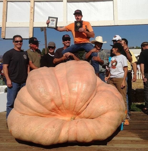 2032 pound Giant Pumpkin - 2013